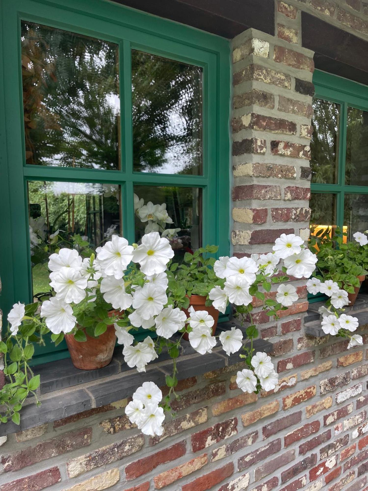 Ma Campagne Bed and Breakfast Heusden Exteriör bild